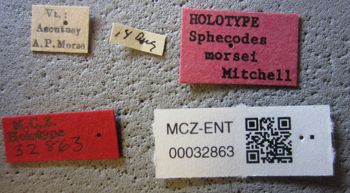 Media type: image;   Entomology 32863 Aspect: labels